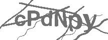 CAPTCHA Image