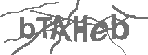 CAPTCHA Image