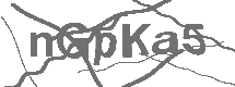 CAPTCHA Image