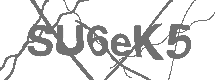 CAPTCHA Image