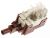 Inters Poussoir    ,convient pour unSH55 4300100000