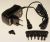 MW MA06EU/6XC BLOC D"ALIMENTATION 3-12V, MAX. 600MA, EUP/REACH-CONFORM