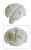 20/3304 295176601 VERROU BLANC (X1) FACADE AV GRILLE DE VENTILATION