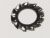 Vitres Verres Plexi    ,convient pour un1032FEW 5208500000