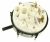 Inters Poussoir ,convient pour unVG61246 4300100000