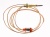 Inters Poussoir ,convient pour unCA17425002 4300100000