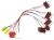 C00381871 481231028168 ADAPTATEUR