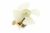 Moteurs Du Ventilateur ,convient pour unHS120210V06 4370000000