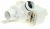 Pompes De Vidange ,convient pour unIG40521X2 4131000000