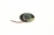 Haut Parleur ,convient pour unSGHX660 4750000000