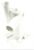 Autres Filtres    ,convient pour un12C60XECH 5659700000
