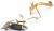 Charnieres    ,convient pour unEVNX30ZZBGBIT 5203500000