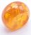 12002612 BOUTON ROTATIF