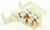 Pompes ,convient pour unCN878G4B6B96 4130000000