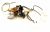 Thermostats De Four    ,convient pour un17166GMMN 4824000000