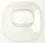 420303614001 BERRY TRAY TRANSPARENT