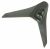 AAN75668606 PIED FIXE
