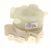 Clapets Anti Retour ,convient pour unGCI826IX 4653000000