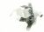 Pompes De Vidange ,convient pour unEWT1376HL1 4131000000