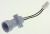 Douilles De Lampe    ,convient pour unCEF1DW250AP 5355000000
