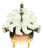 Moteurs Du Ventilateur ,convient pour unDOR7586BB3 4370000000