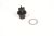 AS00000084 FICHE FEMELLE