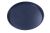 C00858769 488000858769 PLAT CRISP