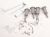 1784430250 C00939840 ACCESSORY GR FD 82 92 CM