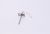 Sondes De Temperature    ,convient pour unNV7B5685BAKU2 4829000000
